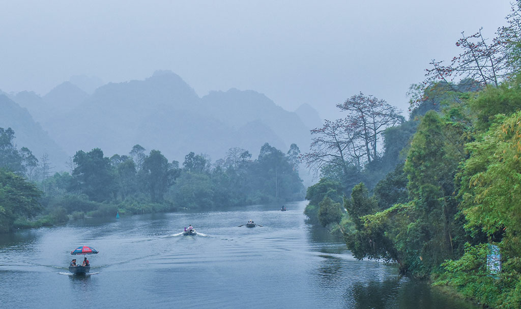 ha_noi_ruc_ro_sac_do_hoa_gao_nhung_ngay_thang_ba.-03.jpg