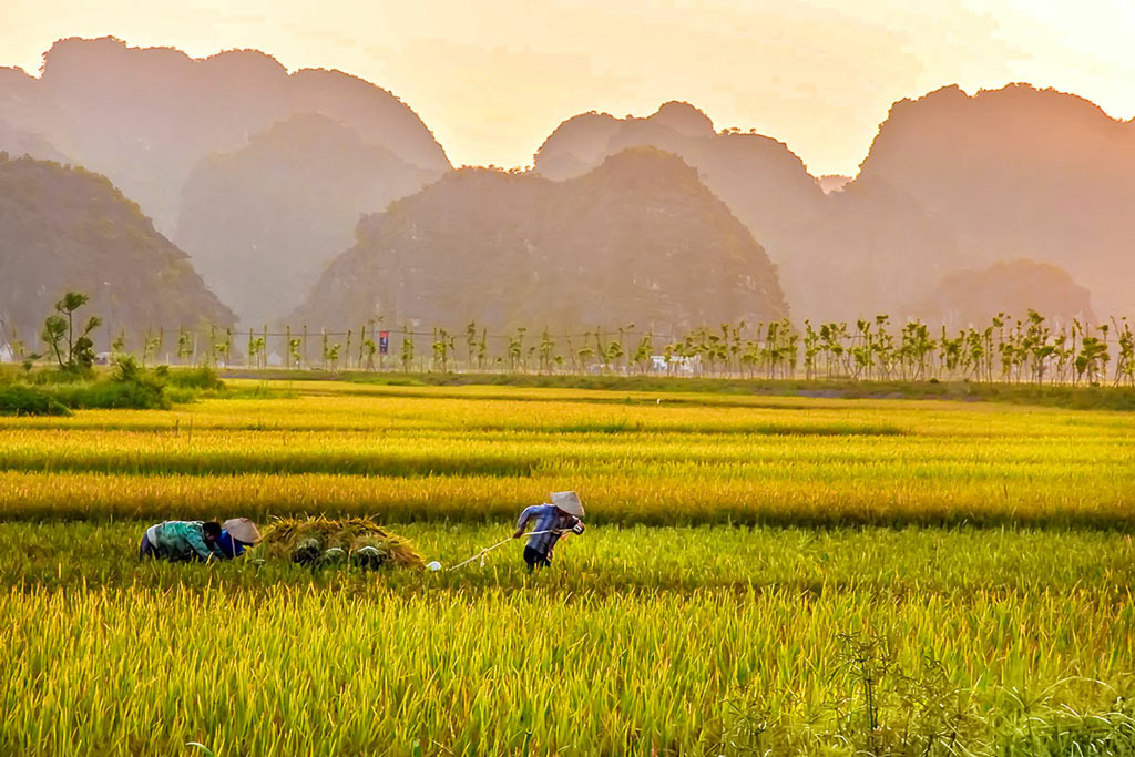 ky_vi_nuoc_non_ninh_binh.-02-1.jpg