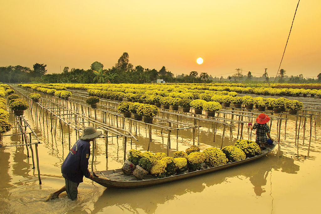 Check-in Sa Đéc, làng hoa lớn nhất miền Tây những ngày cận Tết